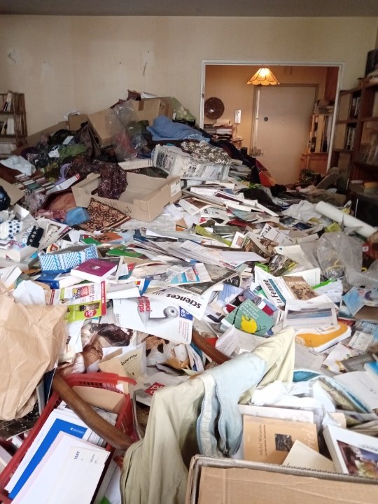 Appartement très encombré avant une intervention de débarras à Paris